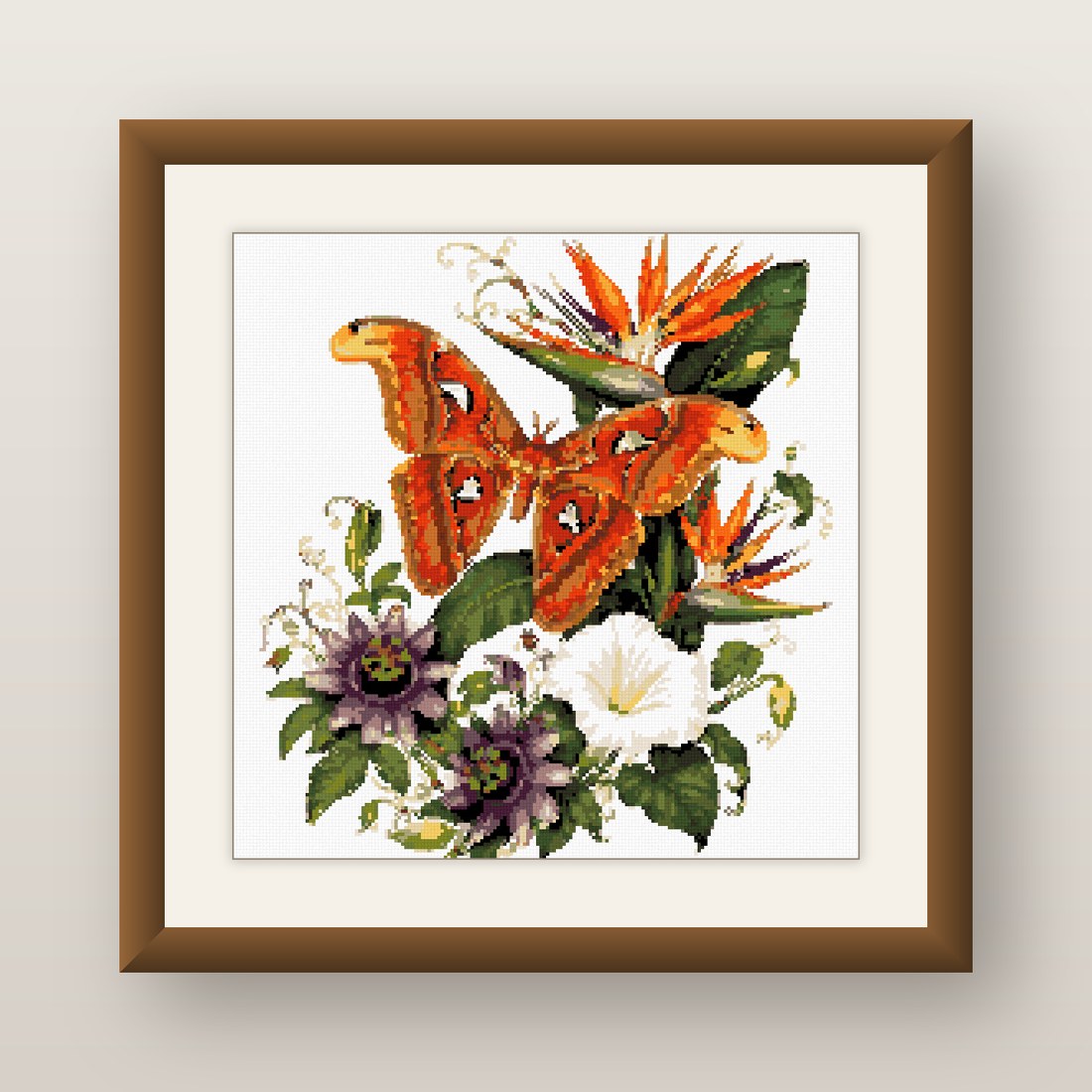 Birds Butterflies and Moths — Complete Bundle